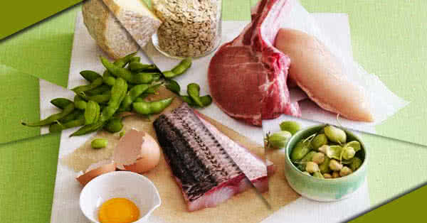 protein diéta mintaétrend