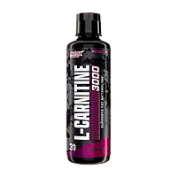 l-carnitine rgp Powder Unflavored Carnitine Supplement Amino Acid Powder for Nutrition and Active Lifestyle Non-GMO, Zero-Additives & Gluten Free, 255g (9 oz) : Health & Household Lean Shots Liquid L ANS Performance Carnitine 3000 for